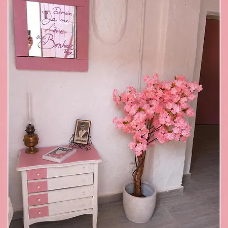 Appartement Casa Rose, Petit Cocon Avec Jardin Dans Un Quartier Calme De