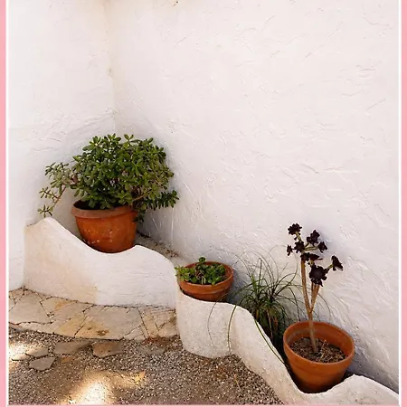 Casa Rose, Petit Cocon Avec Jardin Dans Un Quartier Calme De Appartamento